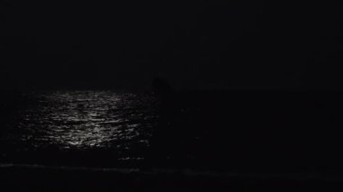 Gece sahilinde genç bir kadının silueti, Ay suları aydınlatır, kız kıyı boyunca yürür.
