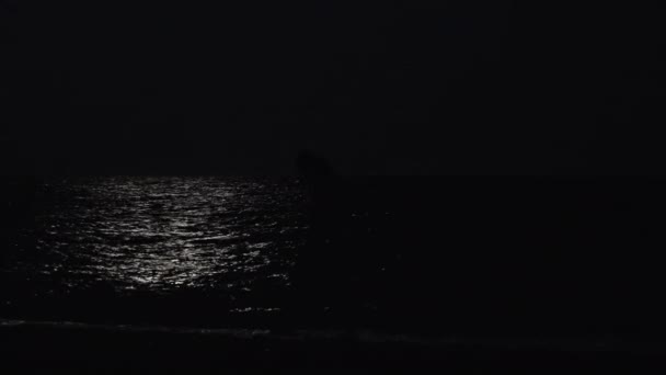 Sylwetka Młodej Kobiety Nocnej Plaży Morskiej Księżyc Oświetla Wodę Dziewczyna — Wideo stockowe