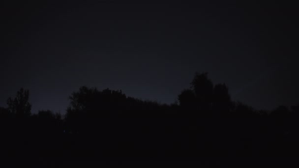 Vigas Holofotes Sobre Árvores Festa Noturna — Vídeo de Stock