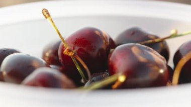 Beyaz manikürlü bir kız plastik bir kutudan kiraz alır. yakın plan.