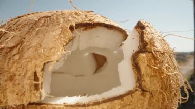 Kırılmış hindistan cevizi. Pamuk beyazı et. İçeriden. Dolly Slider aşırı yakın çekim. Laowa Sondası