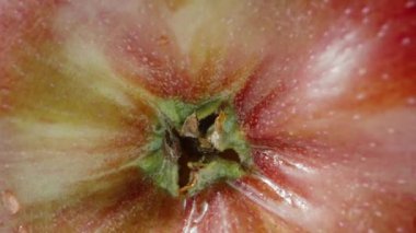 Güneşte su damlayan büyük kırmızı bir elma, mavi gökyüzü, süper yakınlaştırma. Dolly Slider aşırı yakın çekim. Laowa Sondası