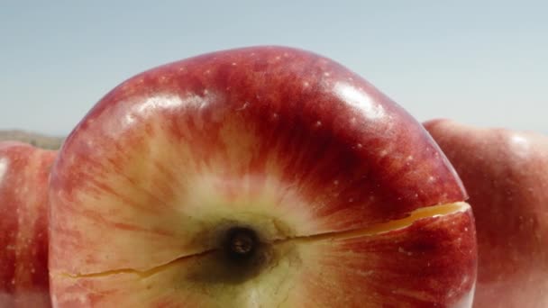 Măr Mare Roşu Împart Două Jumătăţi Camera Trece Prin Dolly — Videoclip de stoc