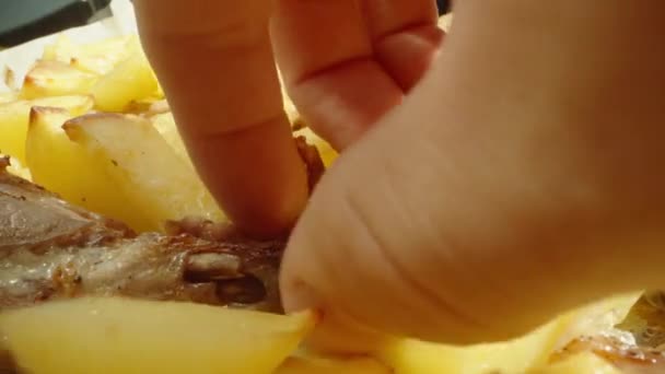 Pommes Terre Frites Cuisses Poulet Prends Une Jambe Cadre Macro — Video