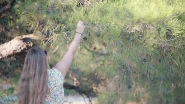 Młoda Kobieta Próbuje Wyrwać Stożek Sosny Ale Jej Się Nie — Wideo stockowe