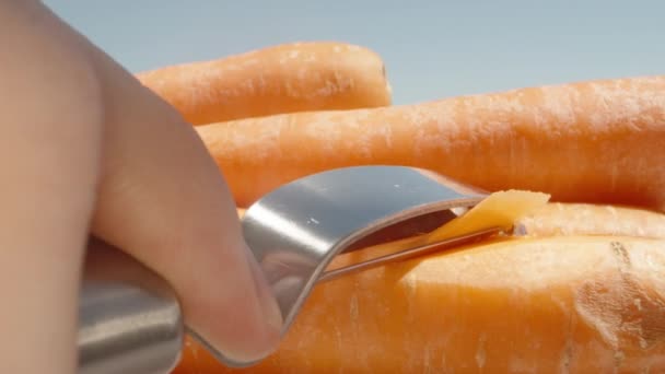 Сырая Свежая Морковь Чищу Овощным Ножом Вид Сбоку Голубое Небо — стоковое видео