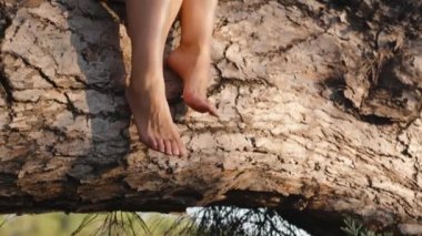 Etekli genç bir kadın ağaçta, çam ağacında oturuyor. Gözlüklerle batan güneşe bak. Ve şişeden su içiyor. Hareket halinde. Yavaş çekim
