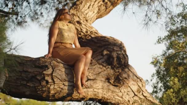 Μια Νεαρή Γυναίκα Φούστα Ένα Δέντρο Πεύκο Κοιτάζει Τον Ήλιο — Αρχείο Βίντεο