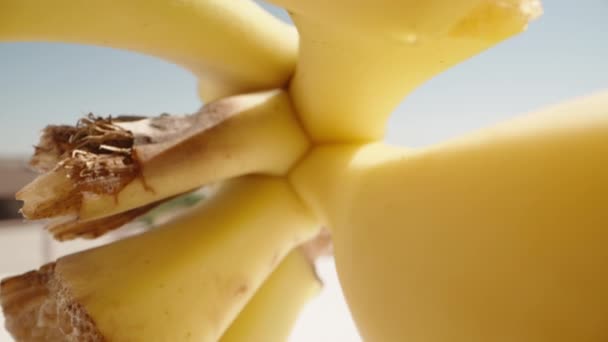 Banda Žlutých Banánů Proti Modré Obloze Kamera Proklouzne Skrz Dolly — Stock video