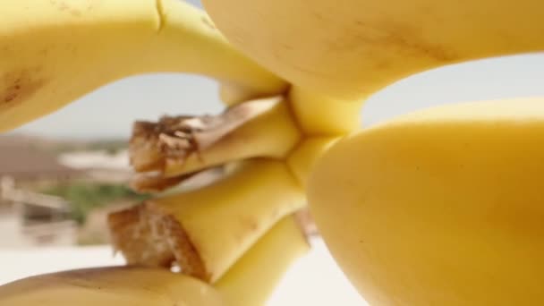 Montón Plátanos Amarillos Contra Cielo Azul Cámara Desliza Sobre Arranco — Vídeo de stock
