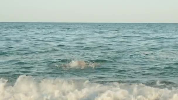 スキューバダイビングのマスクの男は水の下でダイビングし 彼の足は水から突き出ています スローモ — ストック動画