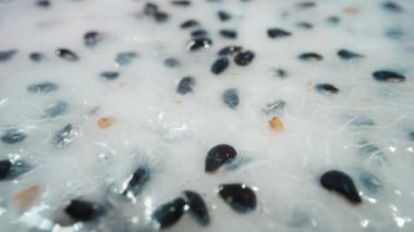 Beyaz pitahaya posası, ejderha meyvesi, siyah tohum ve pembe deri. Dolly Slider aşırı yakın çekim. Laowa Sondası