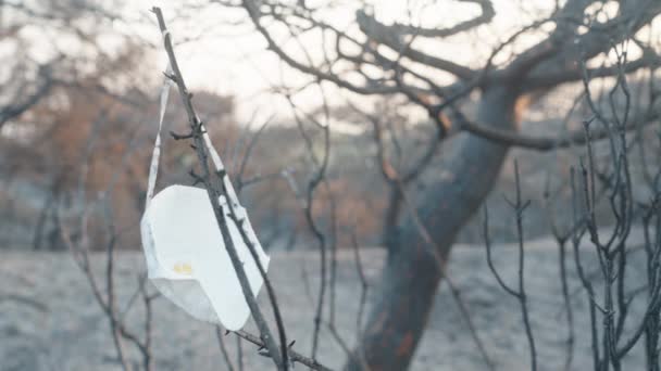 Biała Maska Respirator Wisi Spalonym Drzewie Pożarze Lesie Pustyni Zbliżenie — Wideo stockowe