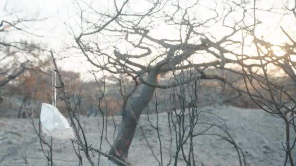 Biała Maska Respirator Wisi Spalonym Drzewie Pożarze Lesie Pustyni Zachód — Wideo stockowe