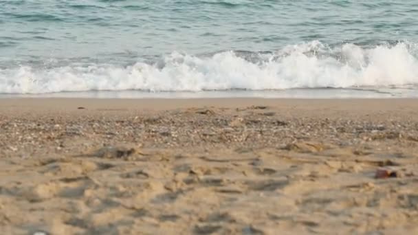 海からビーチへの眺め ビーチでのゴミクローズアップ — ストック動画