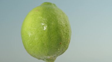 Yeşil bir limon mavi gökyüzü arkaplanı üzerinde döner, yakın plan