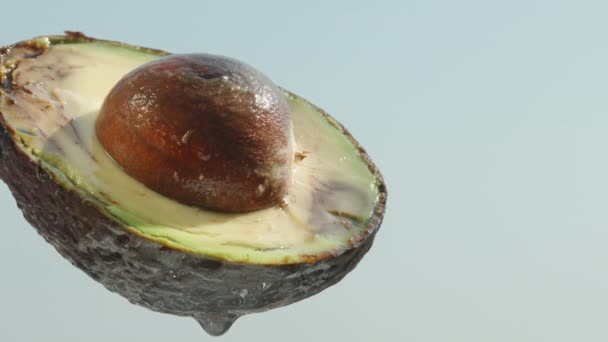 Eine Halbe Avocado Mit Knochen Wasser Tropft Aus Ihr Gegen — Stockvideo