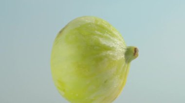 Yeşil incirler mavi gökyüzü arkaplanı etrafında dönüyor, yakın plan..