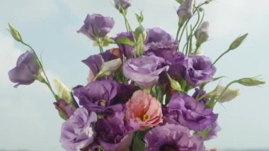 Mavi gökyüzü ve bulutlardan oluşan bir arka planda mor ve pembe lisianthus çiçekleri. Yakın plan.