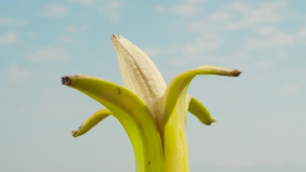 Очищенный Банан Кожурой Вращающейся Фоне Голубого Неба Крупным Планом — стоковое видео