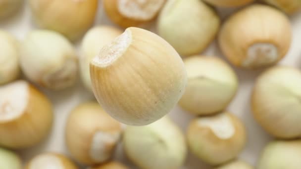 Hazelnut Fruit Rotating Background Nuts Top View Close — Stock Video