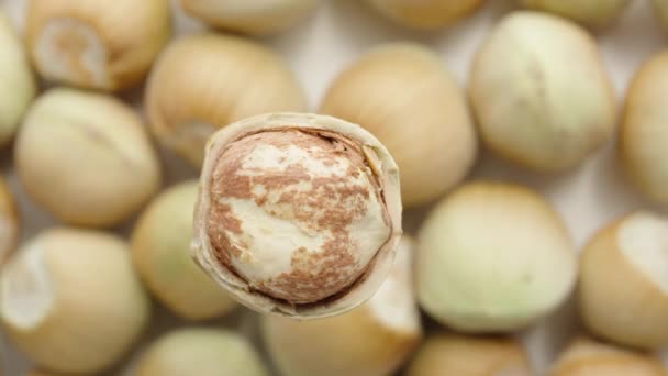 Split Hazelnut Fruit Rotating Background Nuts Top View Close — Stock Video