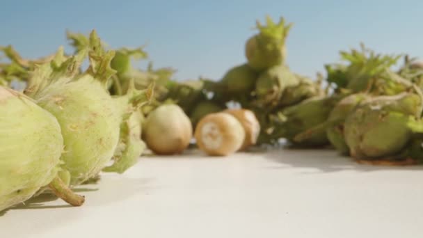 Kaadan Hasselpähkinöiden Kuoret Pöydälle Kun Kamera Menee Eteenpäin Makro — kuvapankkivideo