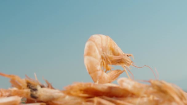 Vařené Krevety Rotují Horách Krevet Zblízka Oddálit — Stock video