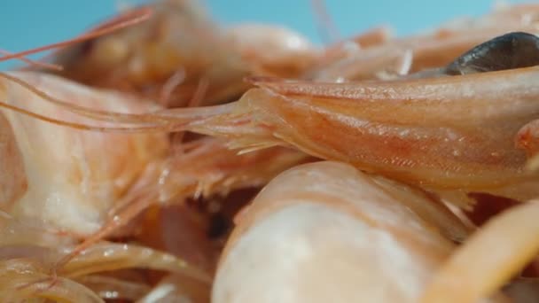 Kamera Sklouzne Přes Vařené Krevety Vymačkám Citron Makro — Stock video