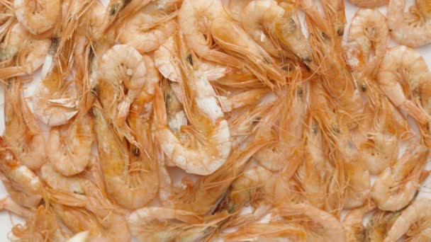 Boiled Shrimp Rotates Squeeze Lemon Lots Shrimp — Stock Video