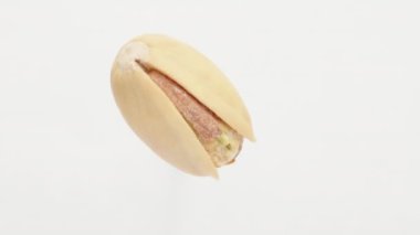 Bir tuzlu şam fıstığı beyaz bir zeminde dönüyor. Yakın plan..