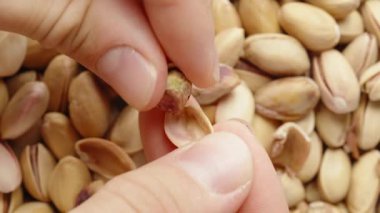 Kabuklarından fıstık soyuyorlar, yavaş çekimde.
