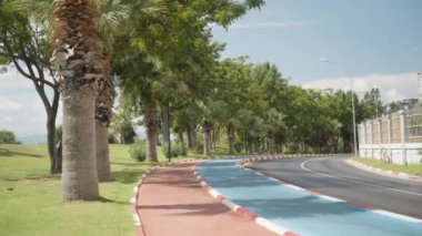 Kırmızı ve mavi bisiklet ve deniz kenarındaki parkta koşu yolu, palmiye ağaçları..