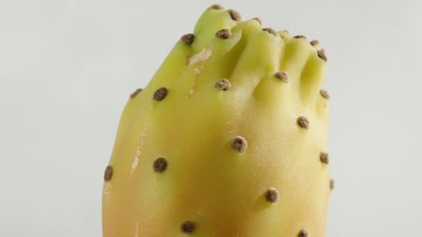 Pikantní Hruškovité Kaktusové Plody Rotující Detailní Záběr Bílém Pozadí — Stock video