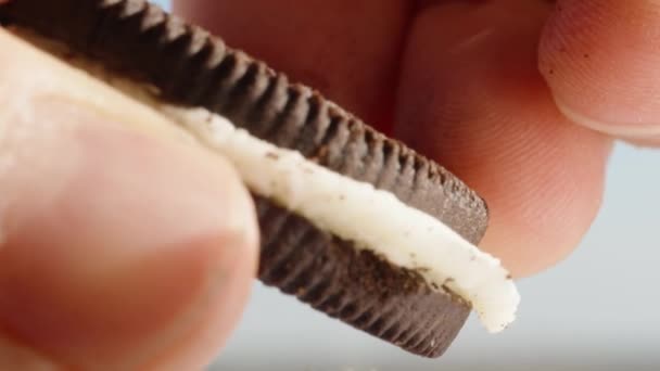Jag Separerar Två Halvorna Rund Chokladkaka Med Mjölkkräm Makro — Stockvideo
