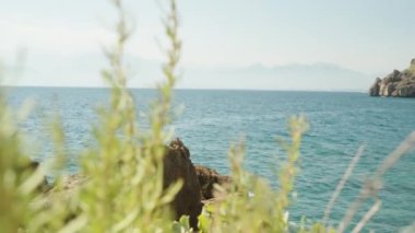 Uzaktaki dağlar ve deniz kenarındaki bir kayanın yakınındaki bitkiler..