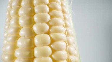 Yapraklı mısır koçanı beyaz bir arkaplanda döner, yakın plan, kamera aşağı kayar.