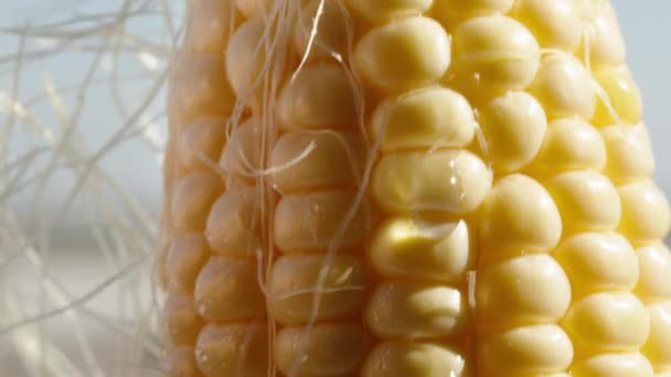 Peeling Corn Cob Green Leaves Close Slow Motion — Stock Video