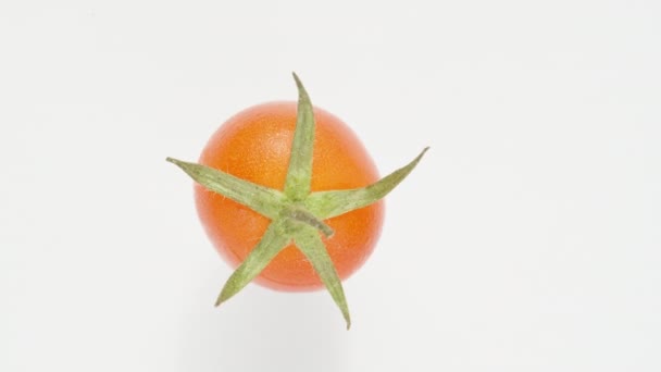 一只孤独的小西红柿在白色的背景上旋转 从上而下的特写镜头 — 图库视频影像