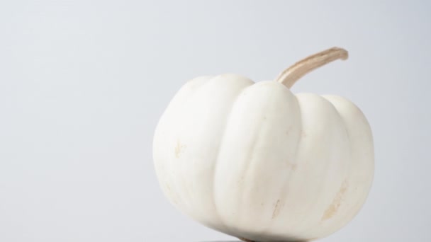 Een Geschilderde Witte Pompoen Voor Halloween Draait Een Witte Achtergrond — Stockvideo