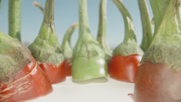 Aufgeschnittene Spitzen Von Roten Und Grünen Paprika Auf Dem Tisch — Stockvideo