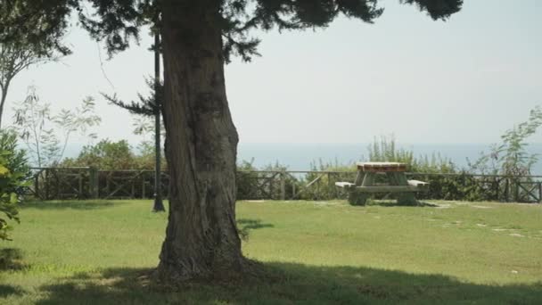 海滨公园的全景 一条长椅和一棵树 阳光灿烂的夏天靠近点 — 图库视频影像