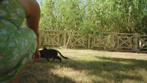 Ung Kvinna Sitter Och Försöker Klappa Vilda Katter Parken — Stockvideo