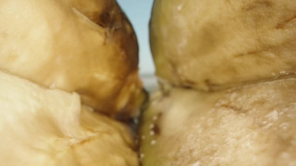 Çukurlu Iki Dilimlenmiş Bozulmuş Avokado Dolly Slider Aşırı Yakın Çekim — Stok video