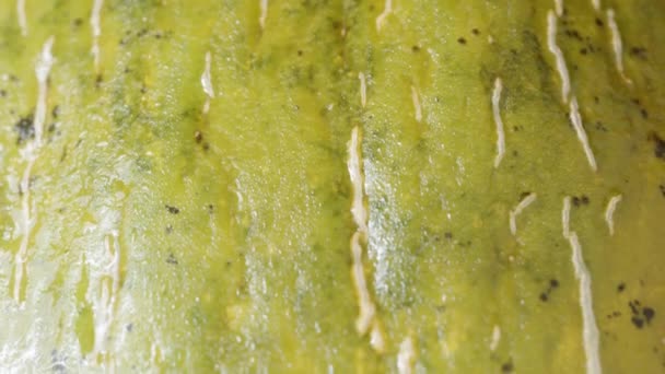 Texture Écorce Melon Humide Dolly Slider Extrême Gros Plan — Video