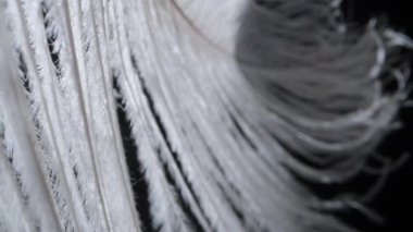 Kamera siyah arka planda beyaz bir tüy boyunca kayar. Dolly kaydırıcı aşırı yakın çekim.
