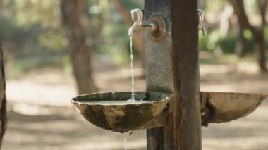 Ormanda içme suyu olan bir musluk. Altındaki kaseye su dökülüyor. yavaş çekim