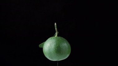 Yaprakları siyah arkaplanda dönen yeşil bir mandalina.