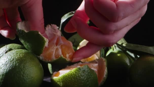 Yeşil Kabuklu Yapraklı Bir Mandalina Dilimi Açıyorum Masanın Üstünde Mandalina — Stok video