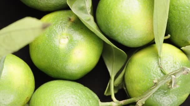 Zelené Mandarinky Listy Černém Stole Dolly Slider Extrémní Zblízka — Stock video
